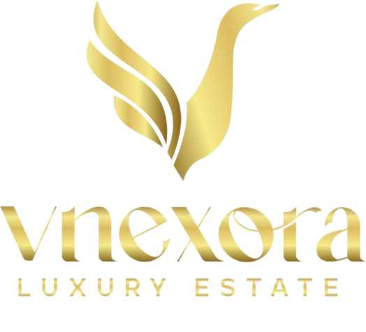 Vnexora Logo