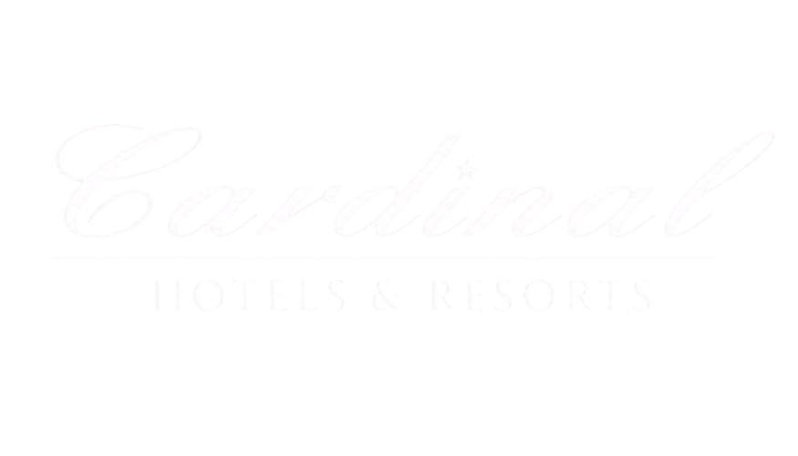 Partner Logo 17